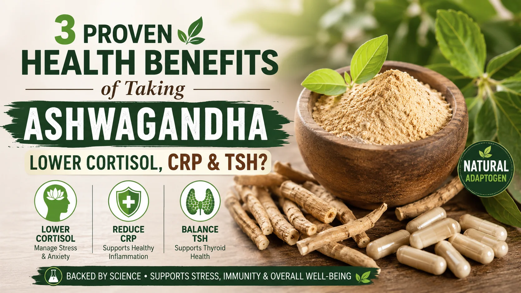 ashwagandha benefits