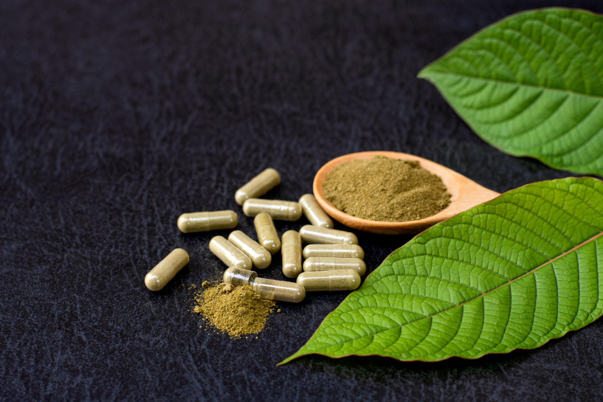 alkaloid extract
